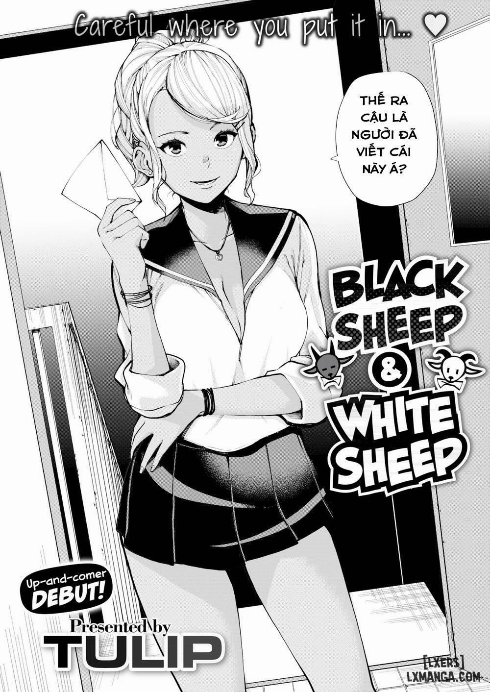 Black Sheep & White Sheep 1 trang 1
