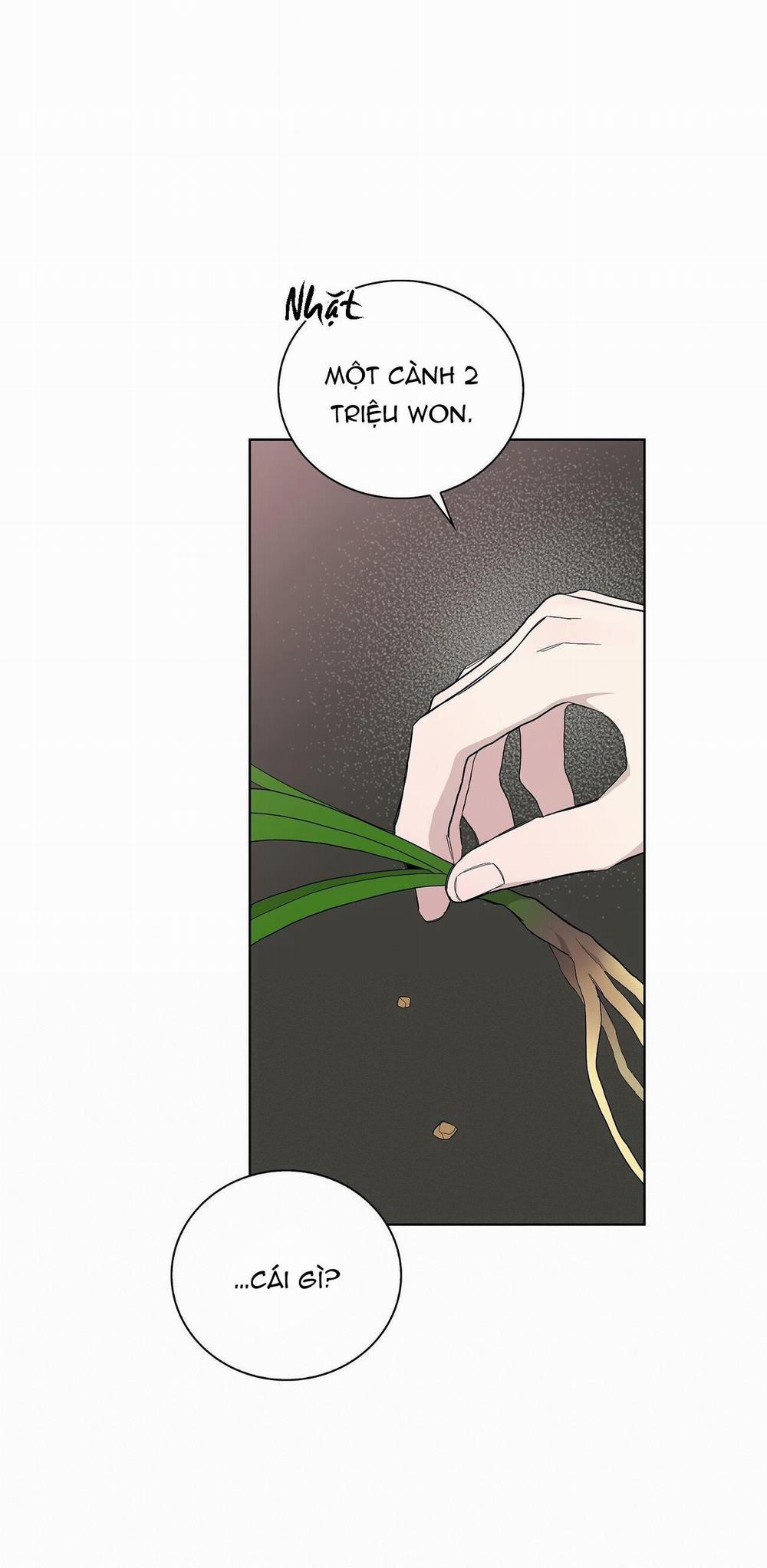 BLAZE OUT 17 trang 45