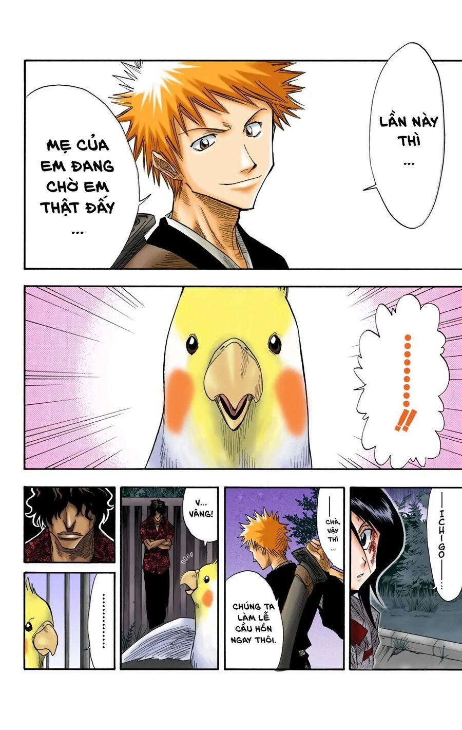 Bleach (Full Color) 12 trang 14