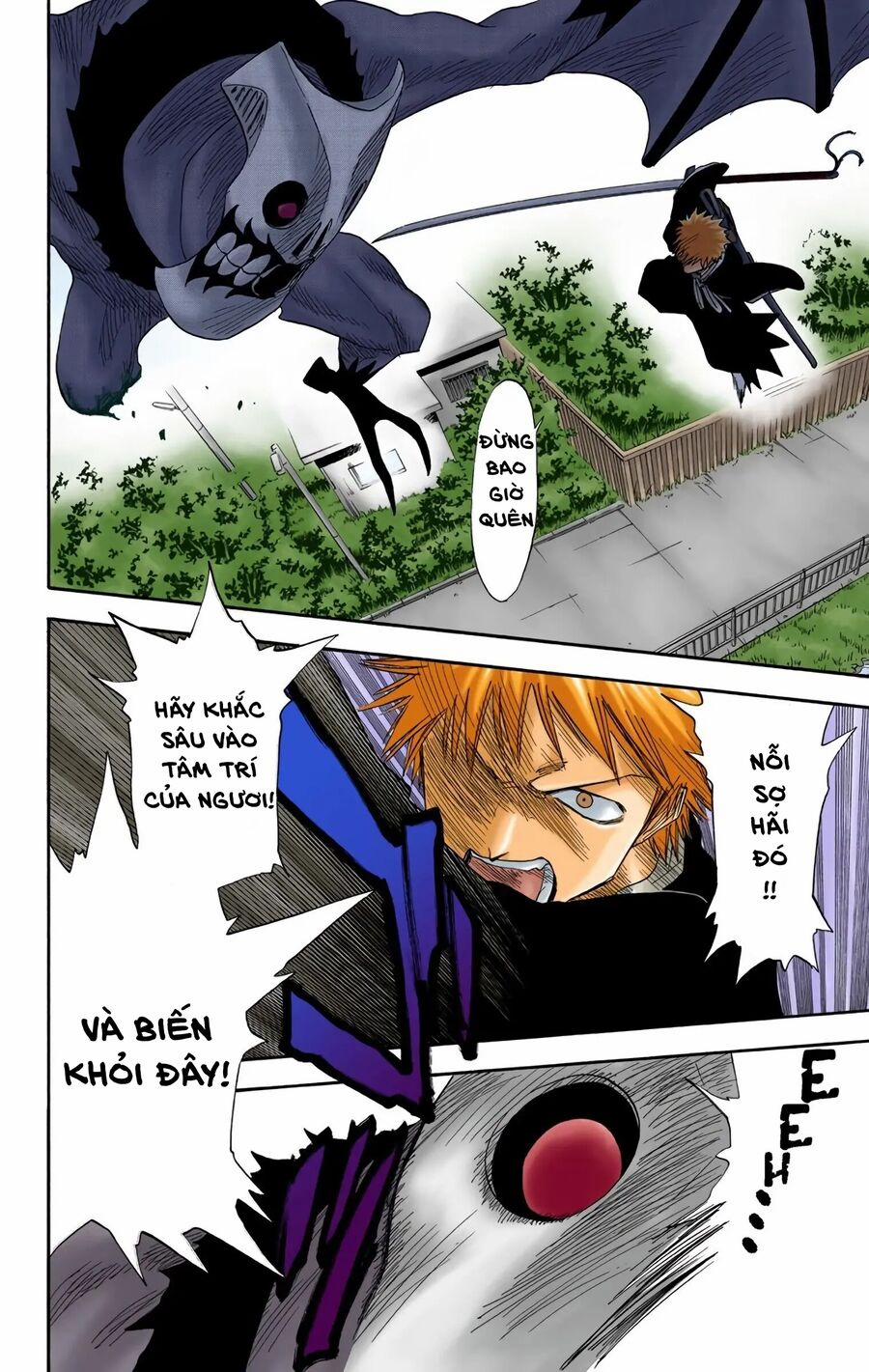 Bleach (Full Color) 12 trang 5