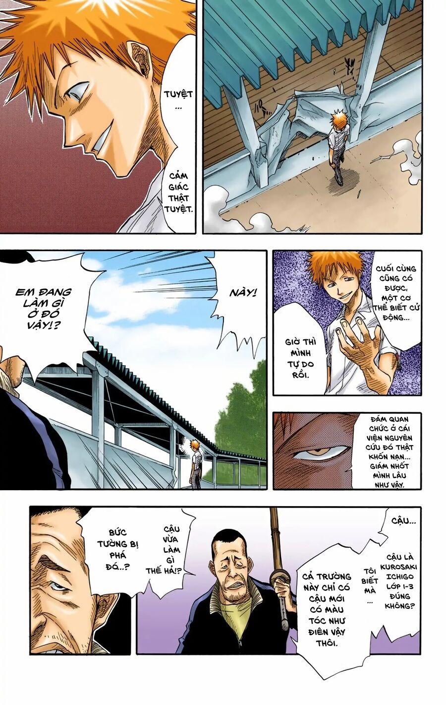 Bleach (Full Color) 14 trang 4