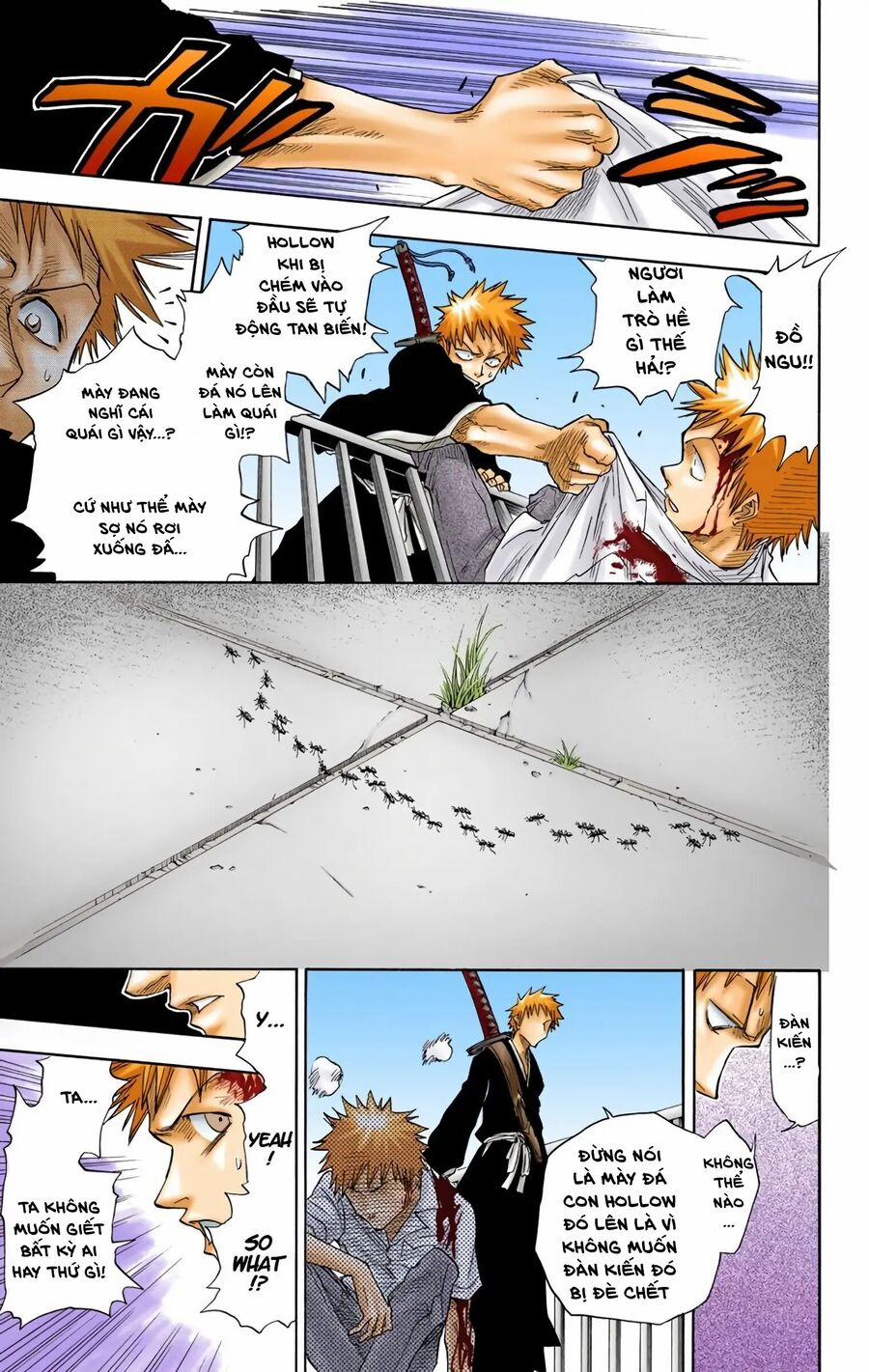 Bleach (Full Color) 16 trang 12