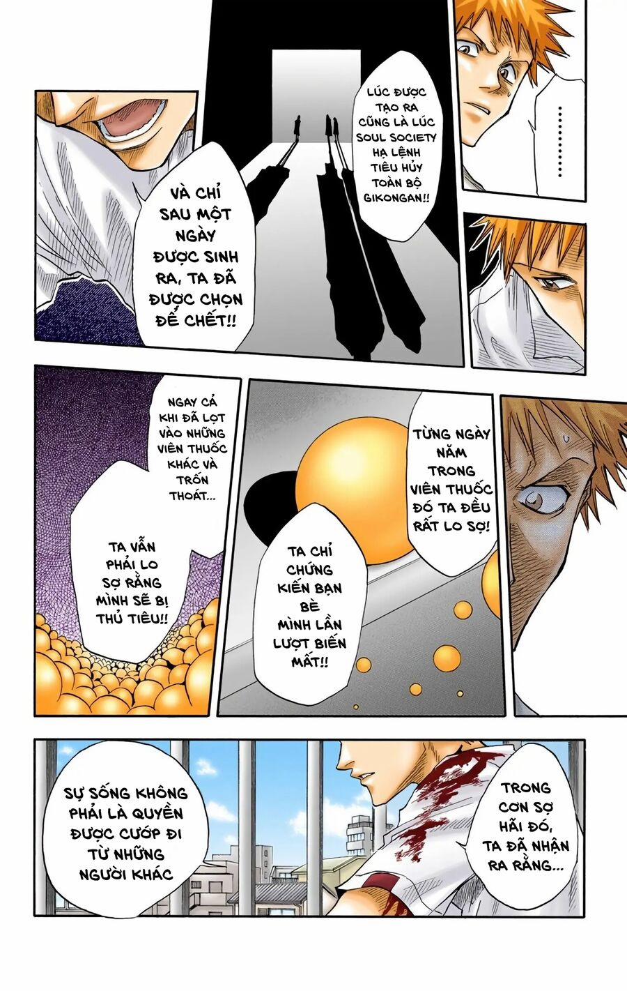 Bleach (Full Color) 16 trang 13