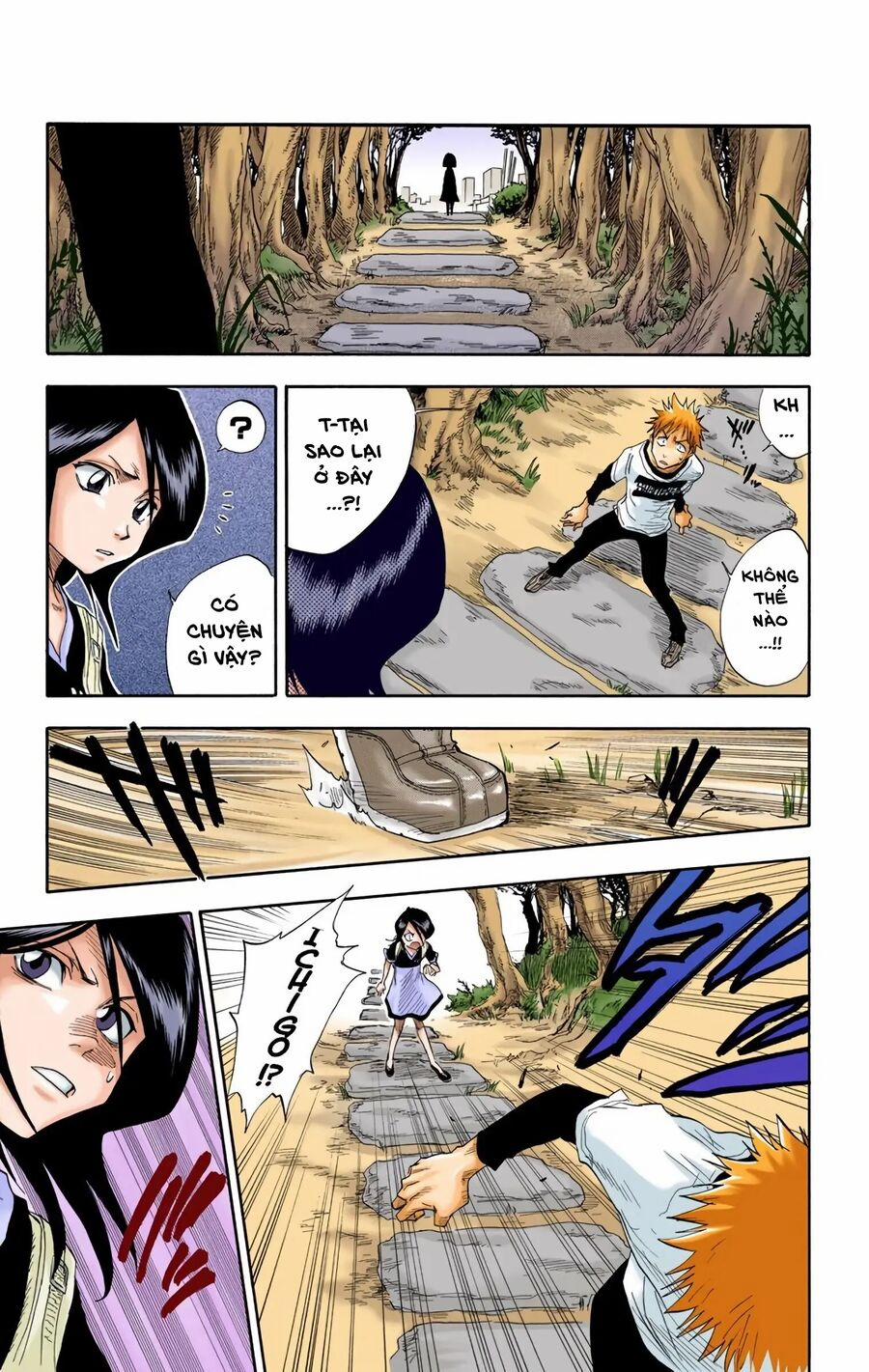 Bleach (Full Color) 18 trang 13