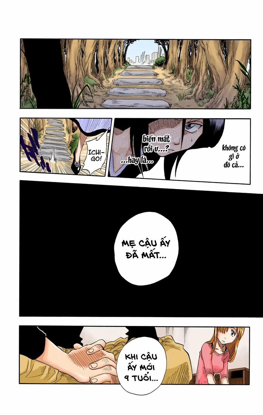 Bleach (Full Color) 18 trang 14
