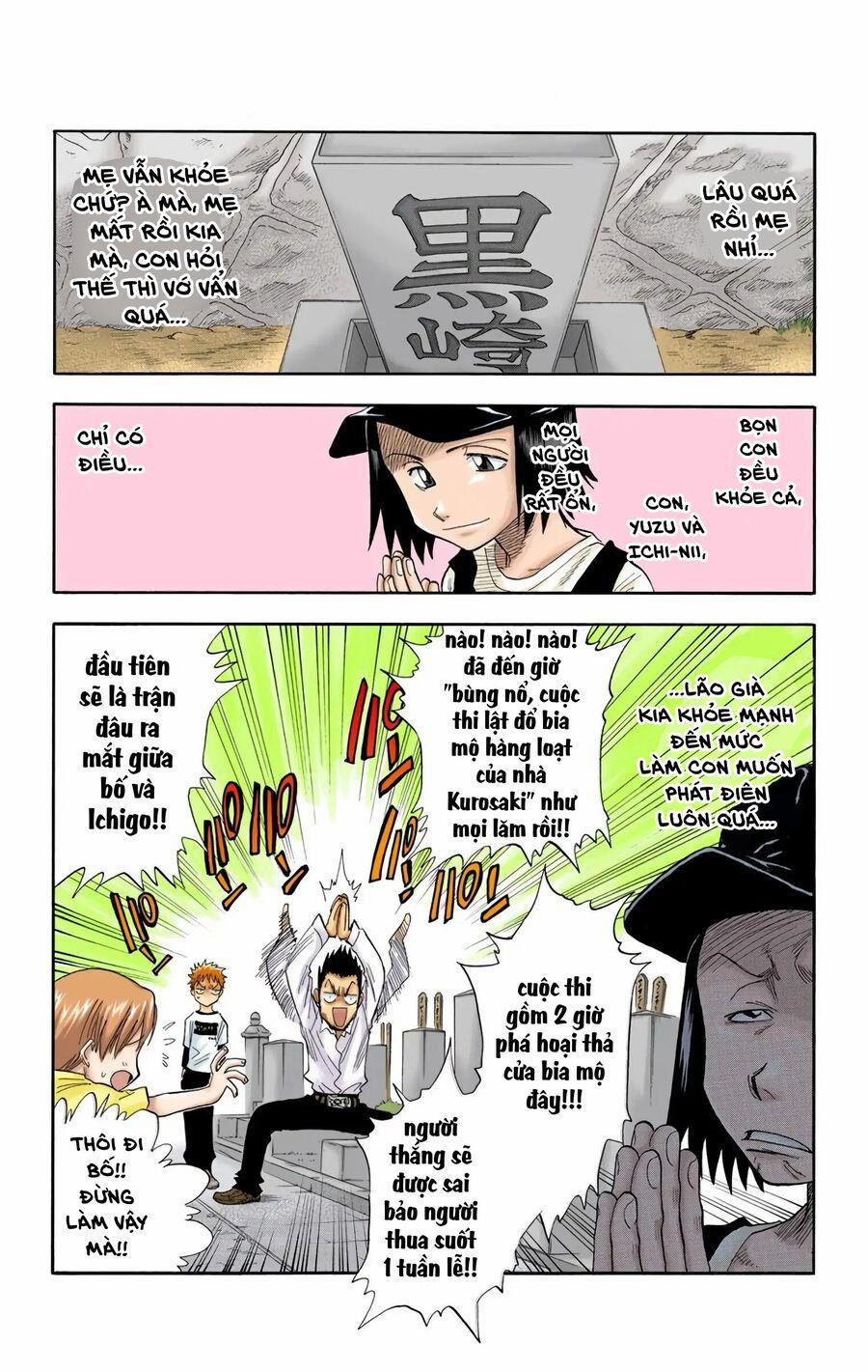 Bleach (Full Color) 19 trang 0