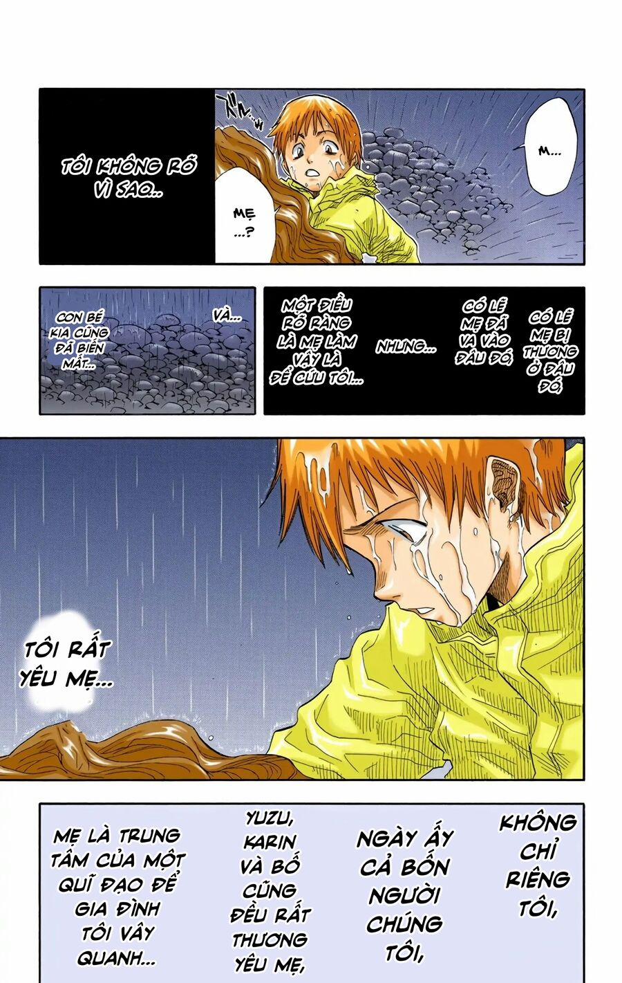 Bleach (Full Color) 19 trang 14