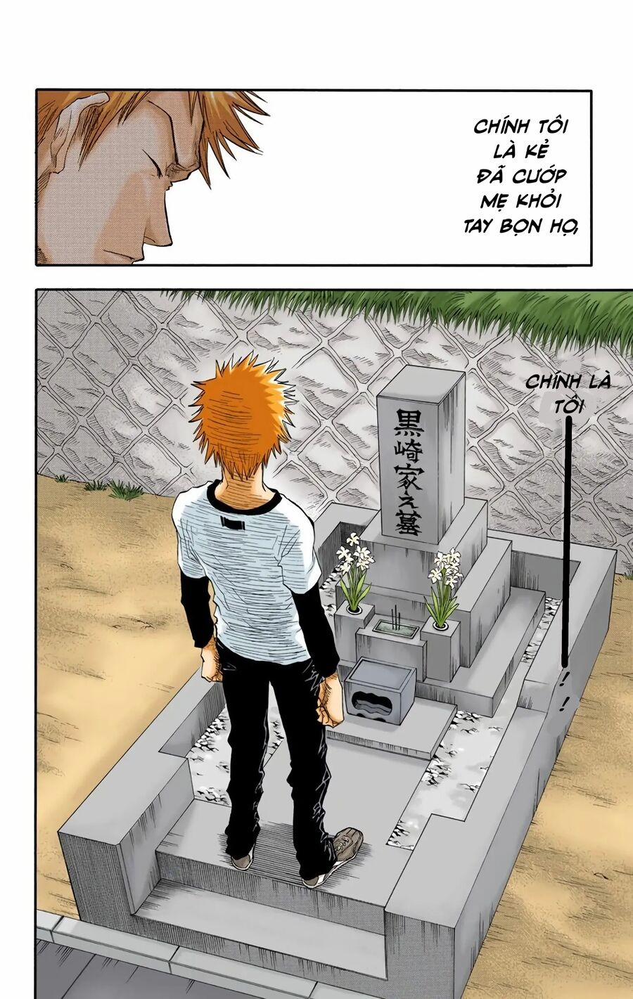 Bleach (Full Color) 19 trang 15