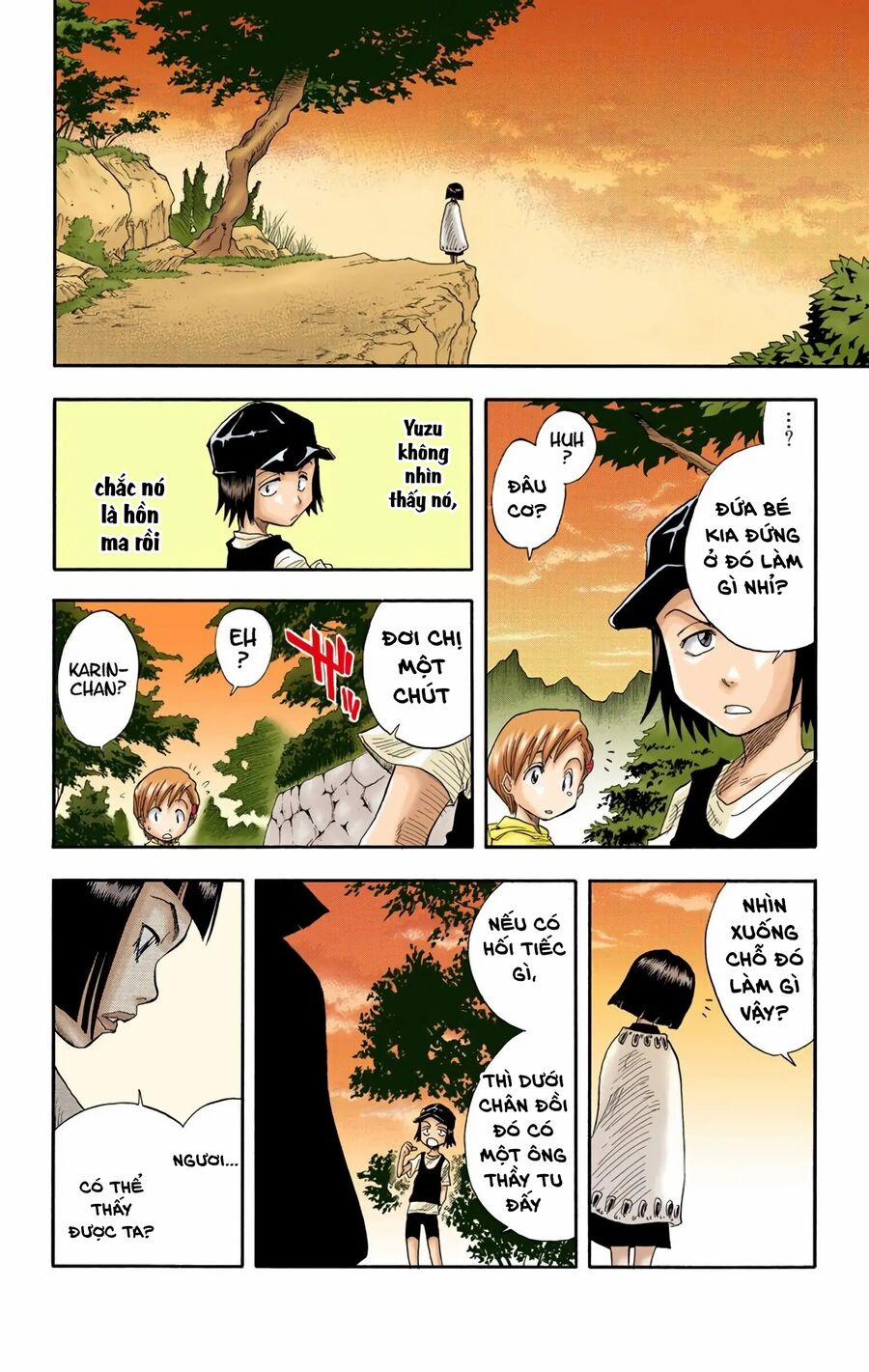 Bleach (Full Color) 19 trang 17