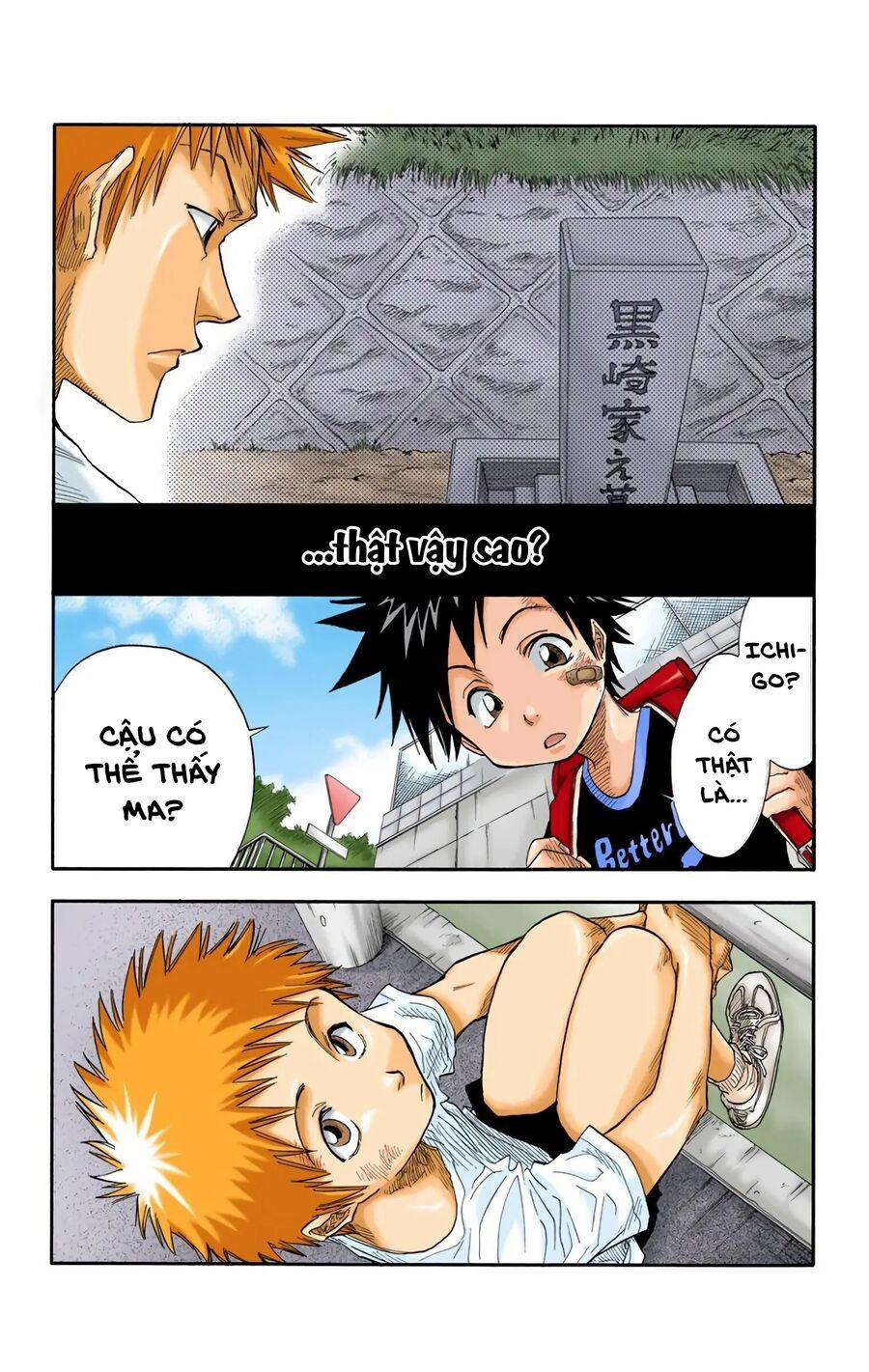 Bleach (Full Color) 19 trang 5