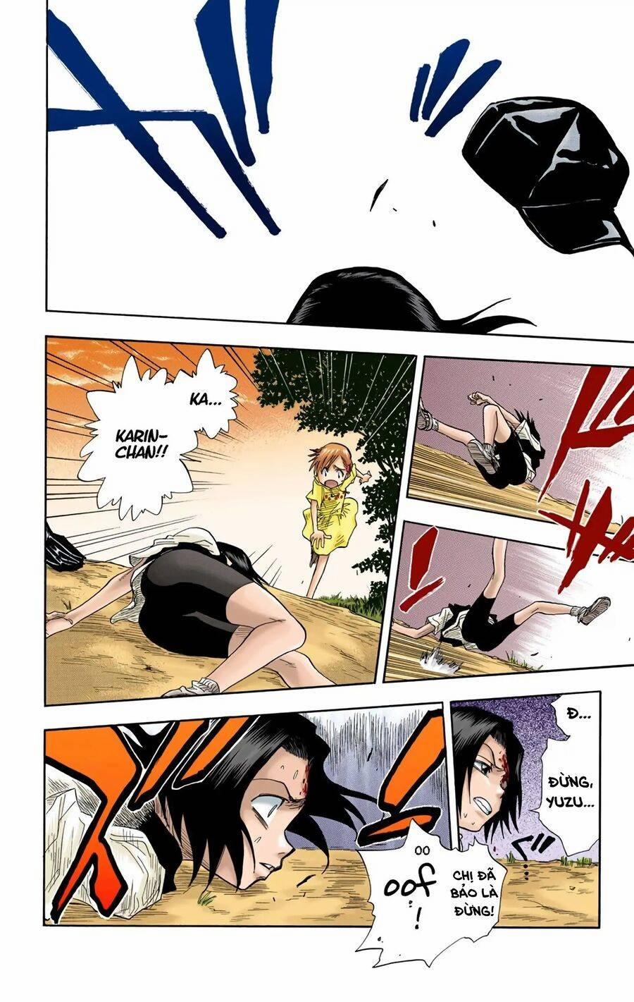Bleach (Full Color) 20 trang 13
