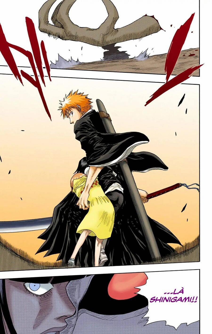 Bleach (Full Color) 20 trang 20