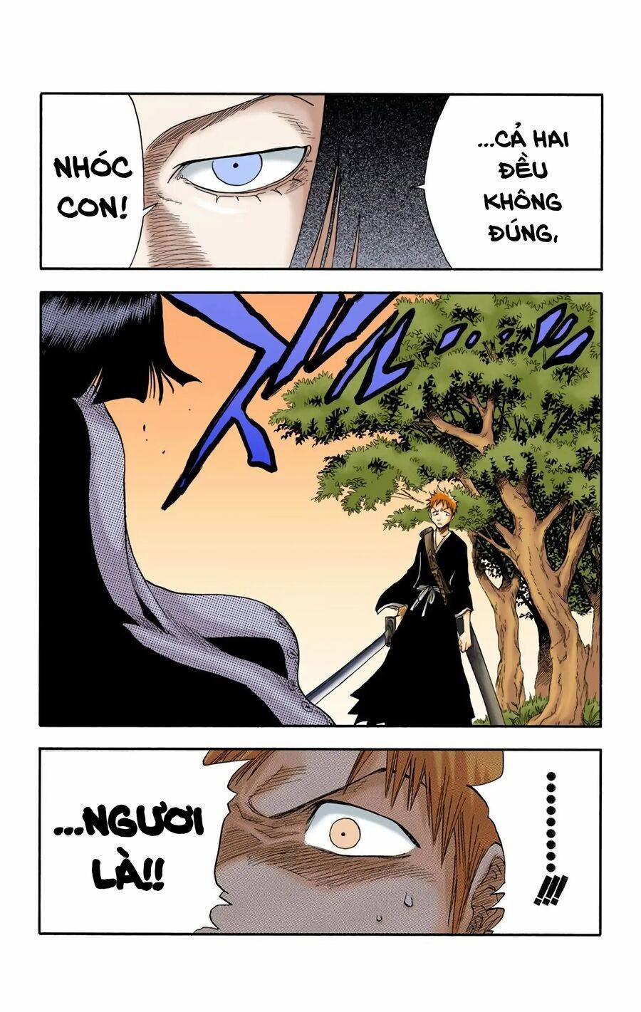 Bleach (Full Color) 20 trang 22
