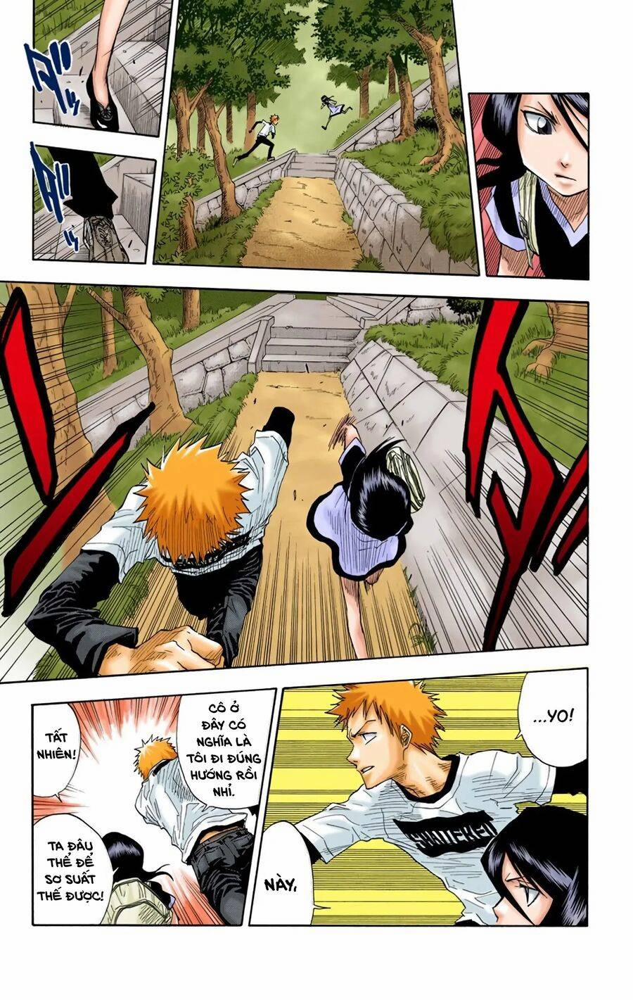 Bleach (Full Color) 20 trang 8