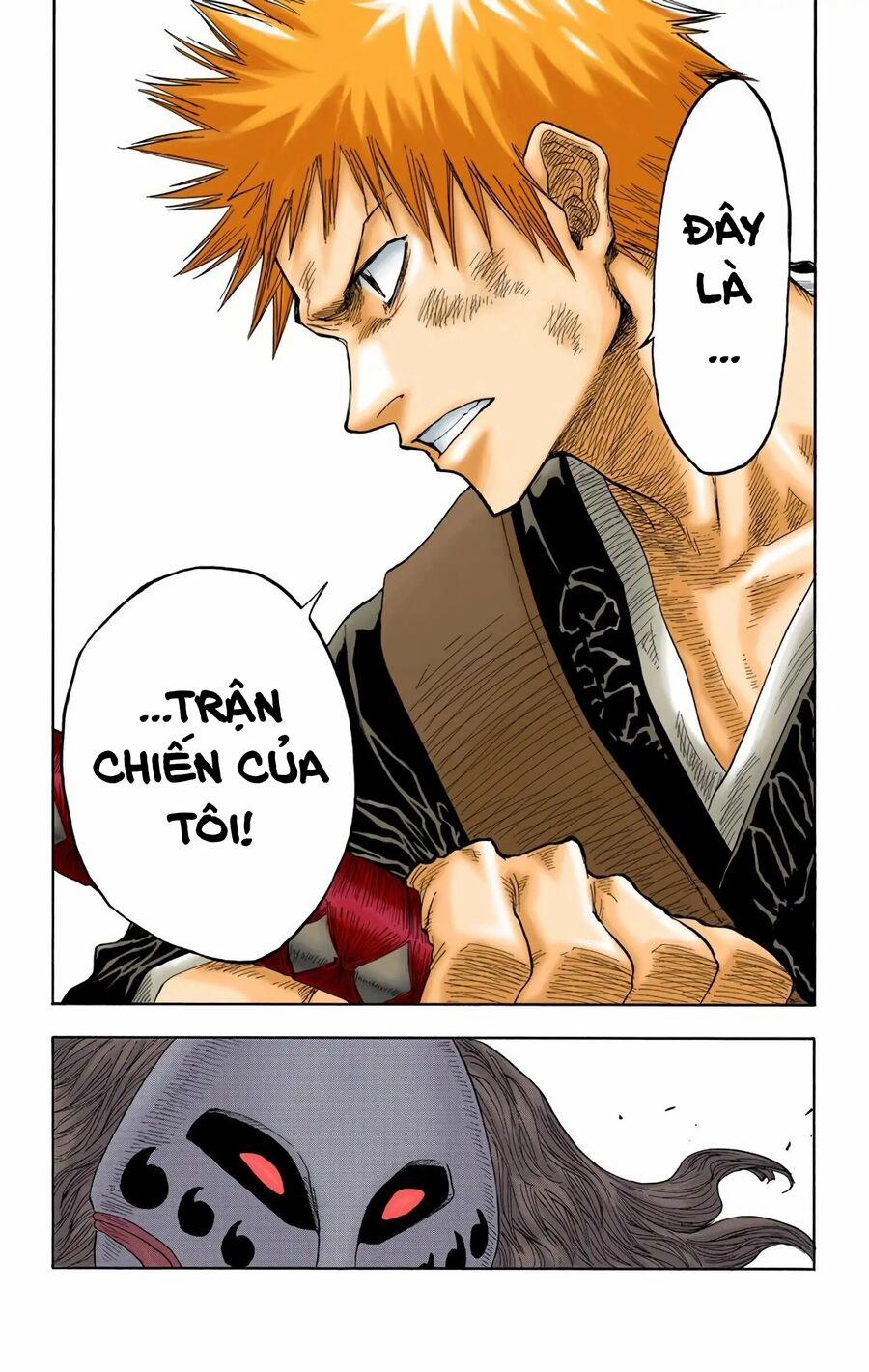 Bleach (Full Color) 21 trang 19