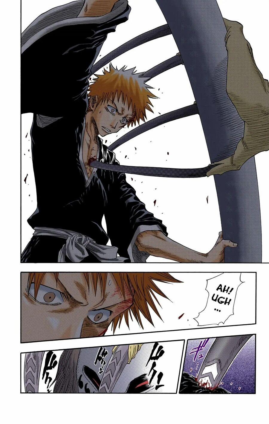 Bleach (Full Color) 22 trang 13