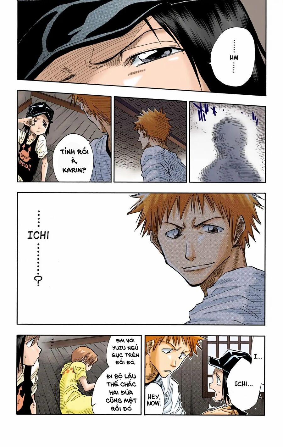 Bleach (Full Color) 22 trang 14