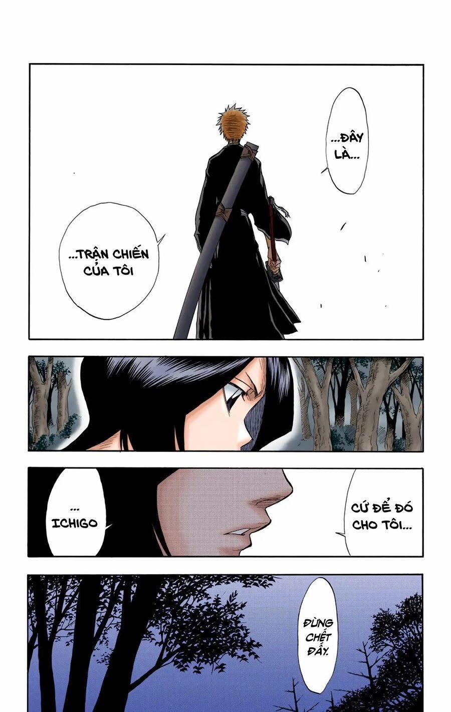 Bleach (Full Color) 22 trang 3