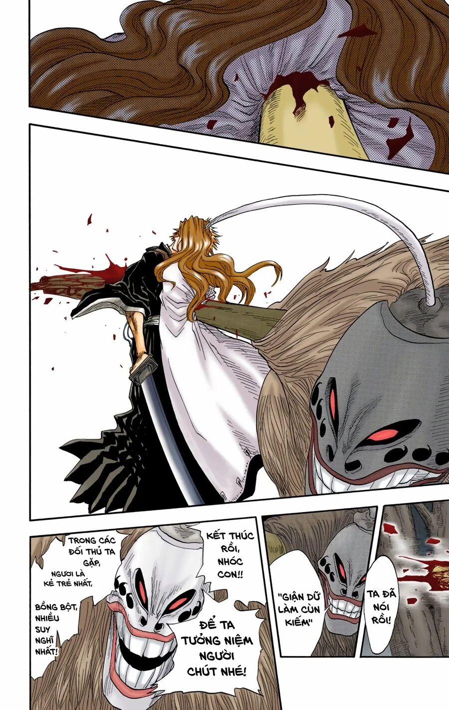 Bleach (Full Color) 23 trang 14