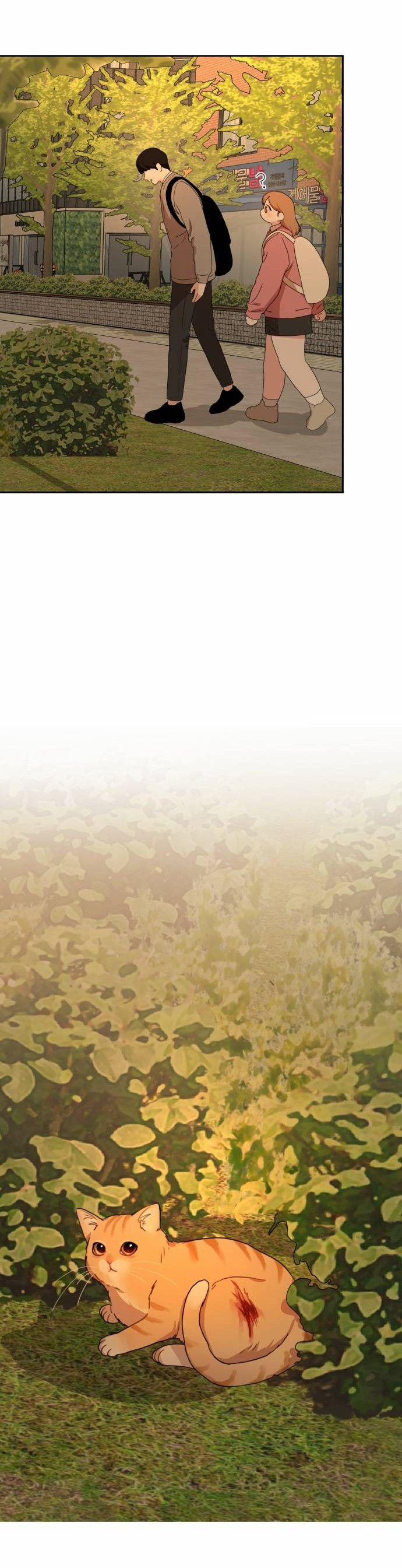 Bloody Romance - Lãng Mạn Đẫm Máu 8 trang 3