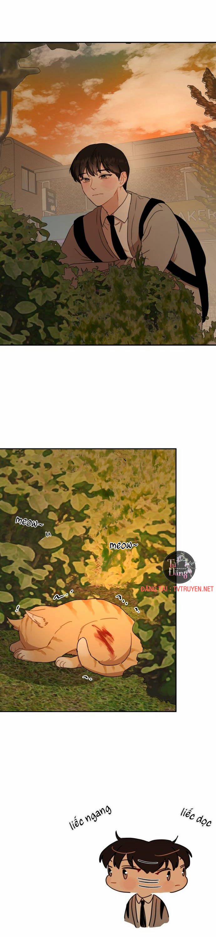 Bloody Romance - Lãng Mạn Đẫm Máu 8 trang 5