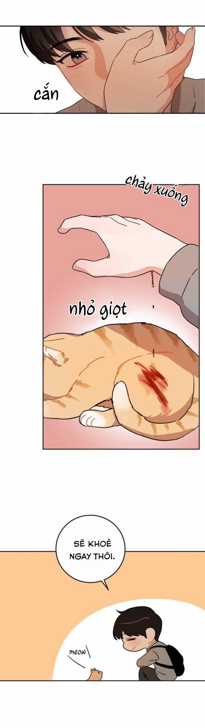 Bloody Romance - Lãng Mạn Đẫm Máu 8 trang 6