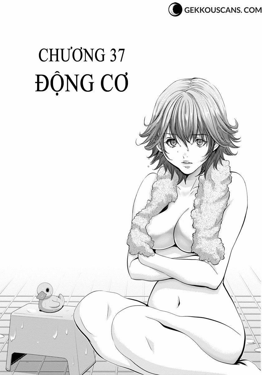 Blush-Dc Himitsu 37 trang 0