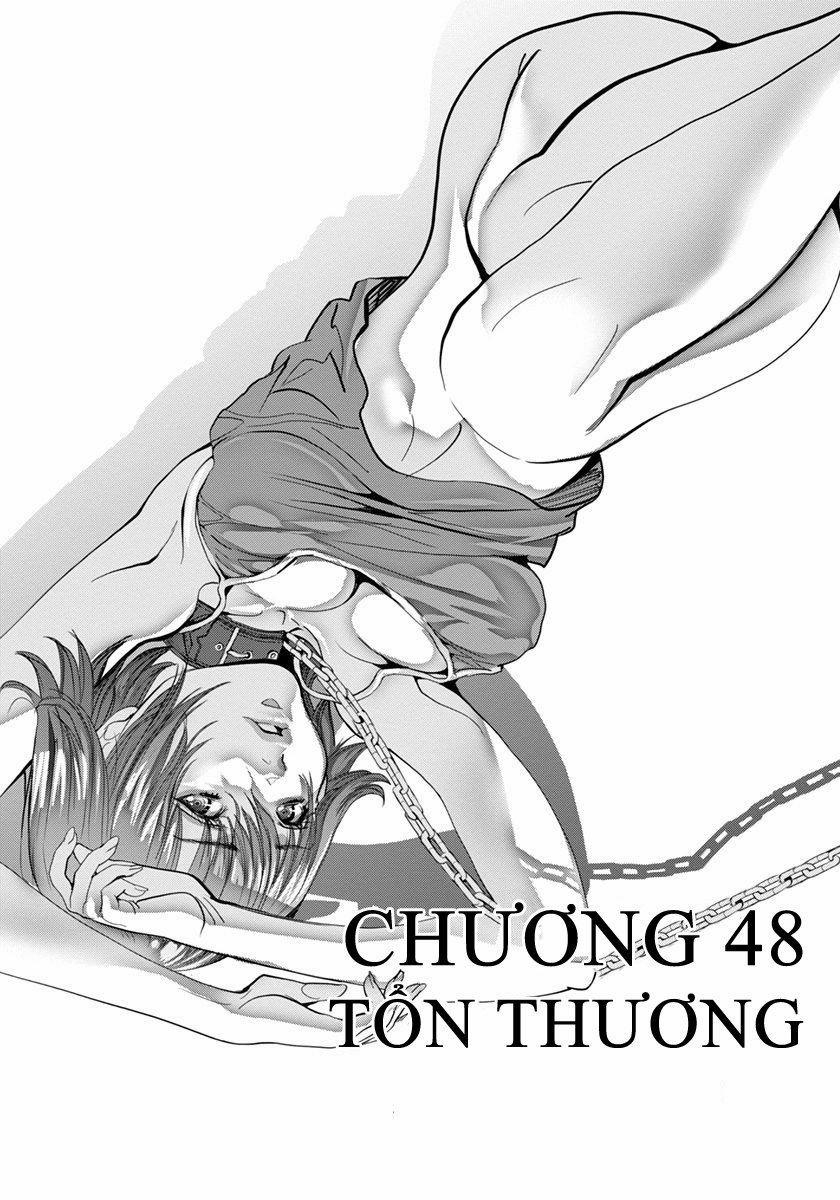 Blush-Dc Himitsu 48 trang 0