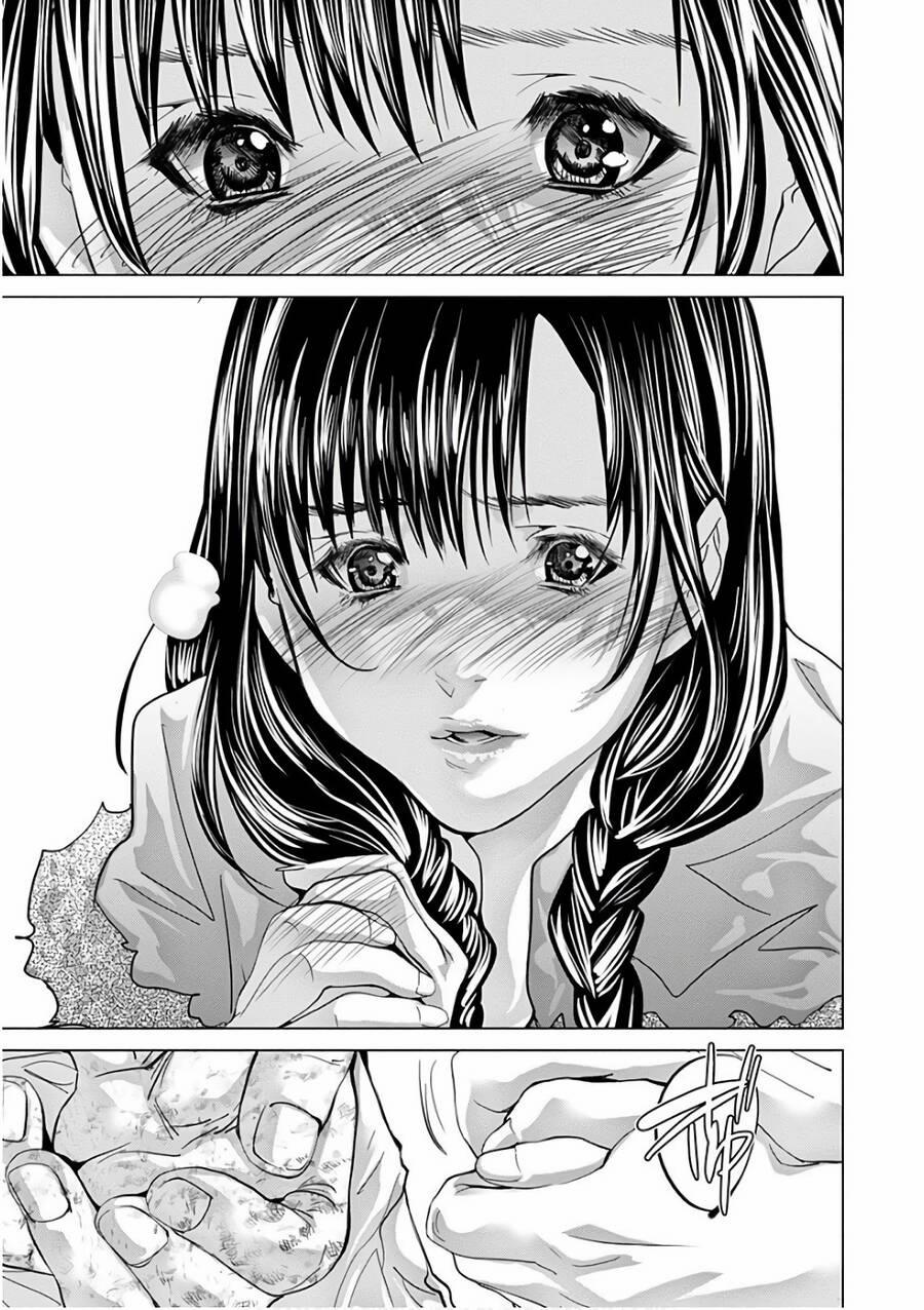 Blush-Dc Himitsu 50 trang 22