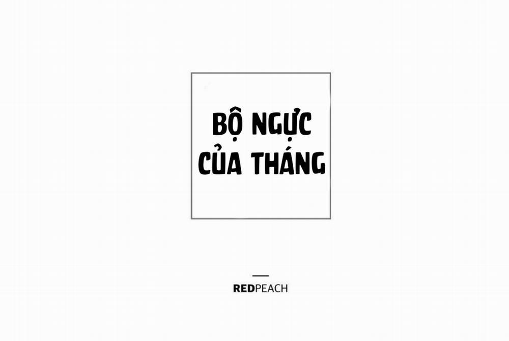 Bộ Ngực Của Tháng 11 trang 47