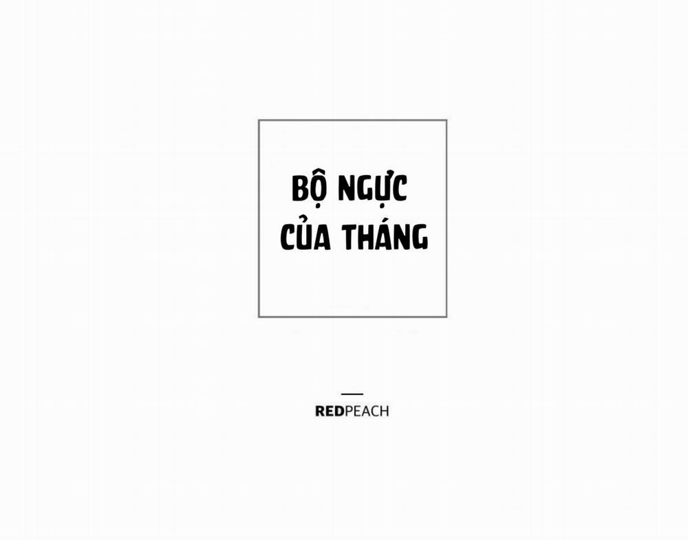 Bộ Ngực Của Tháng 15 trang 14
