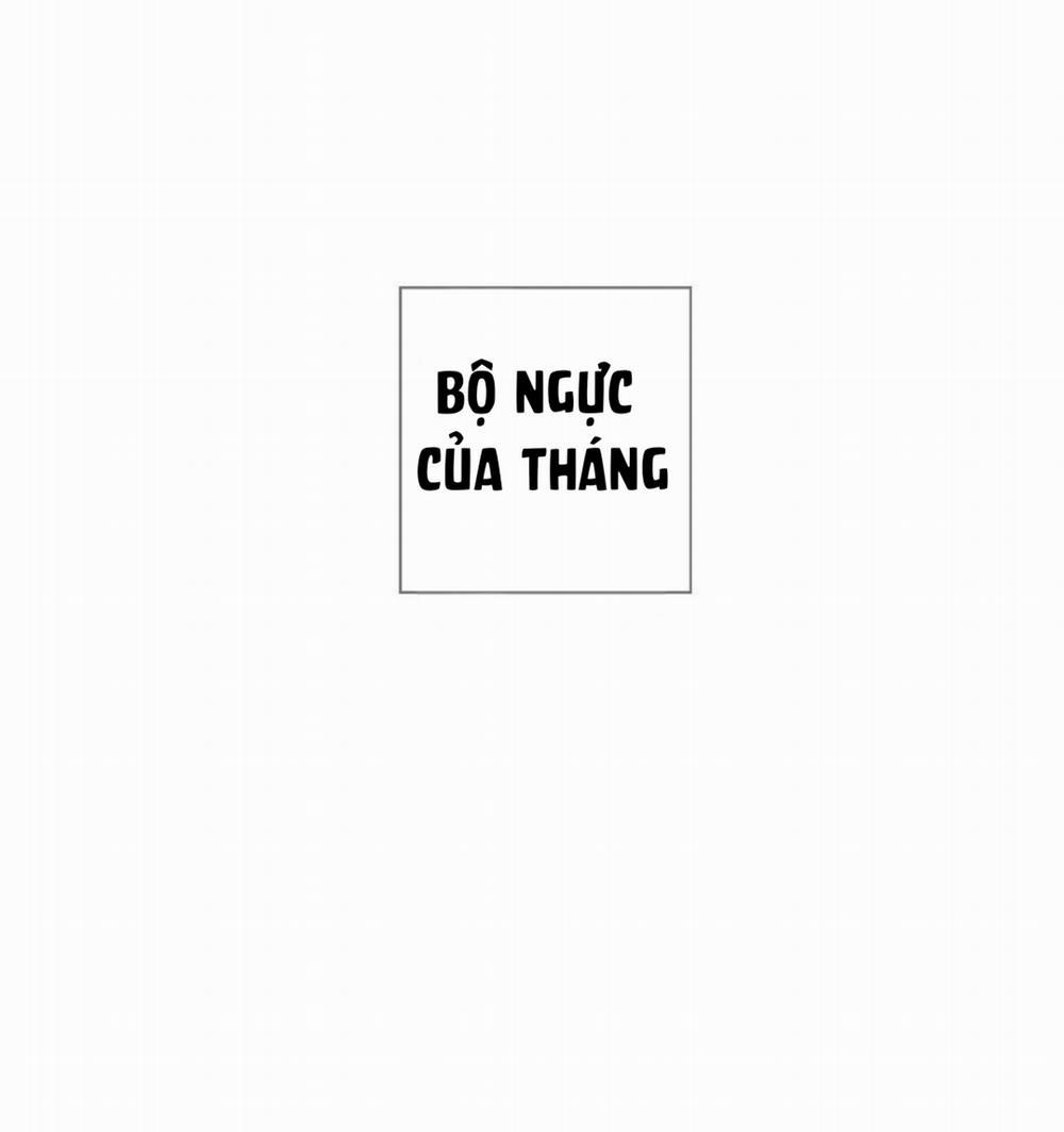 Bộ Ngực Của Tháng 17 trang 0