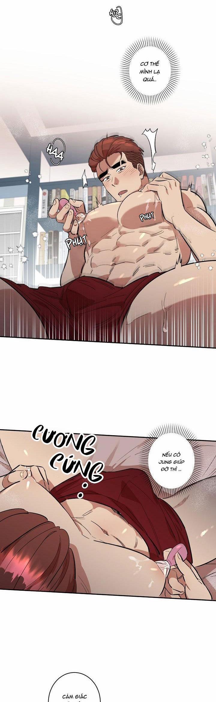 BỘ NGỰC GÂY PHIỀN TOÁI CHO OTAKU 4 trang 8