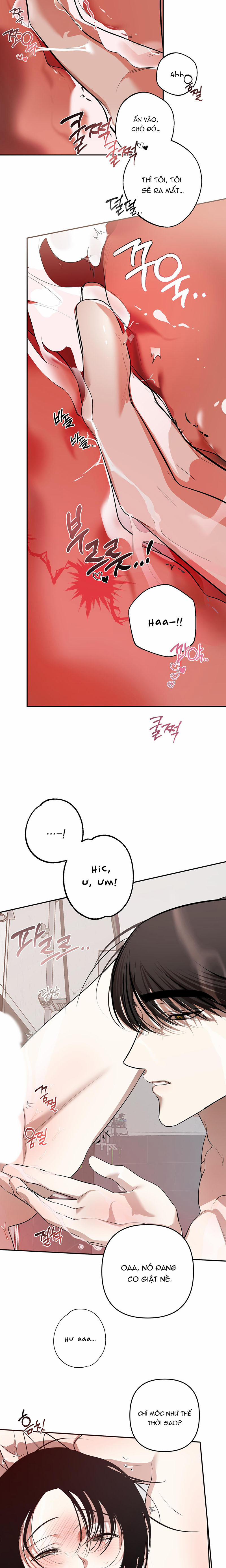 Bỏ Quả Ớt Đó Xuống Rồi Nói Chuyện 4 trang 11