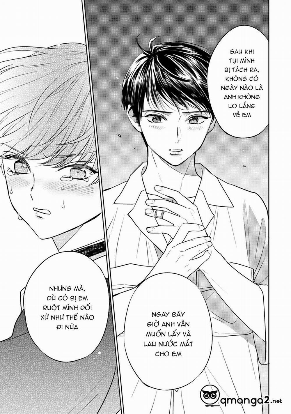 Bọ Rùa Tháng Sáu 0 trang 2