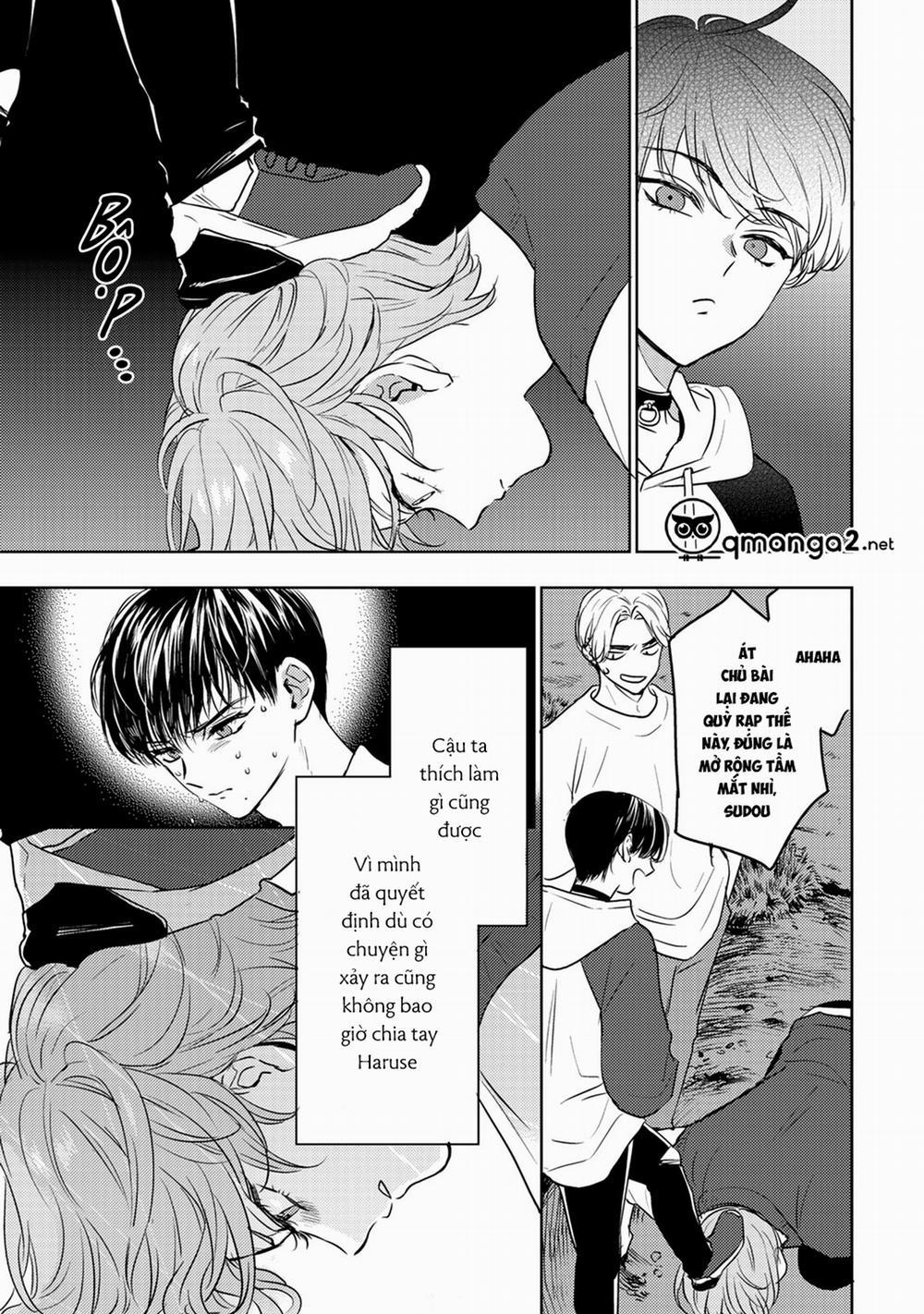 Bọ Rùa Tháng Sáu 11 trang 8