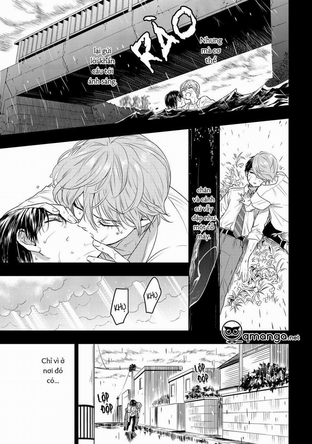 Bọ Rùa Tháng Sáu 2 trang 18