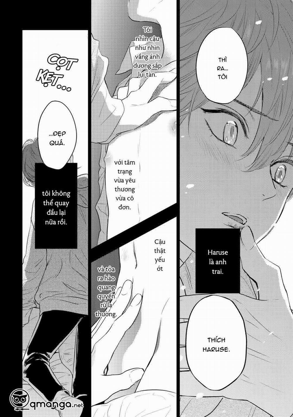 Bọ Rùa Tháng Sáu 2 trang 23