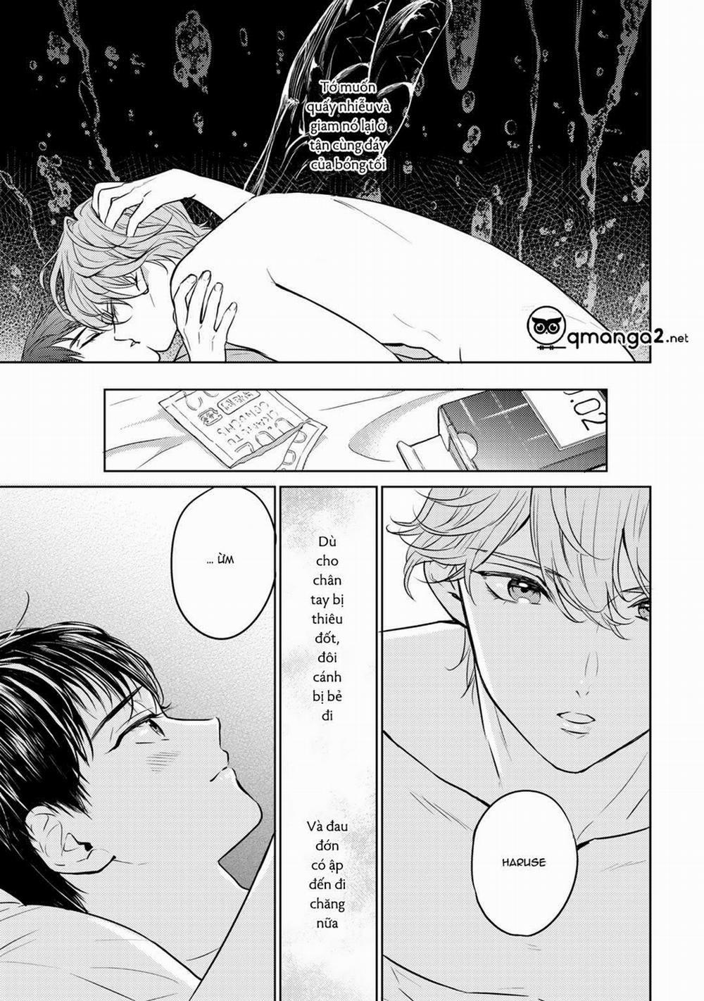 Bọ Rùa Tháng Sáu 9 trang 21