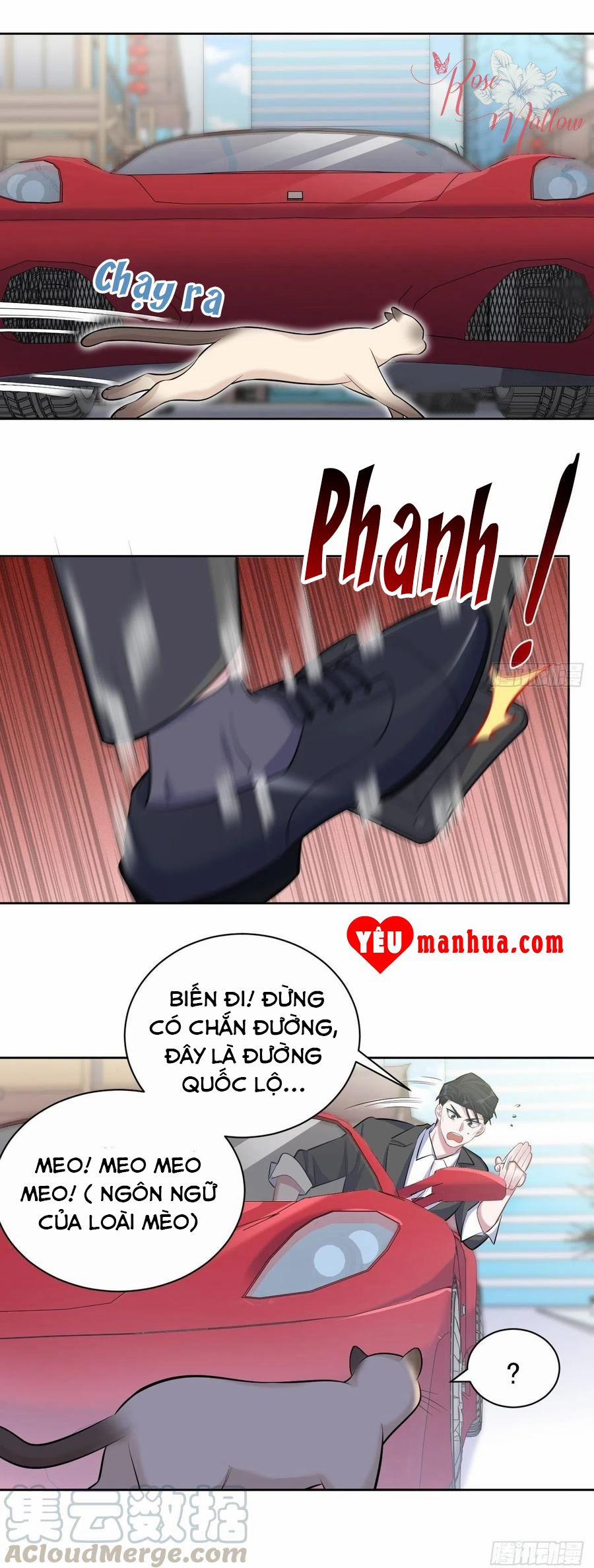 Bố Vợ Đại Nhân Là Bà Xã 103 trang 6