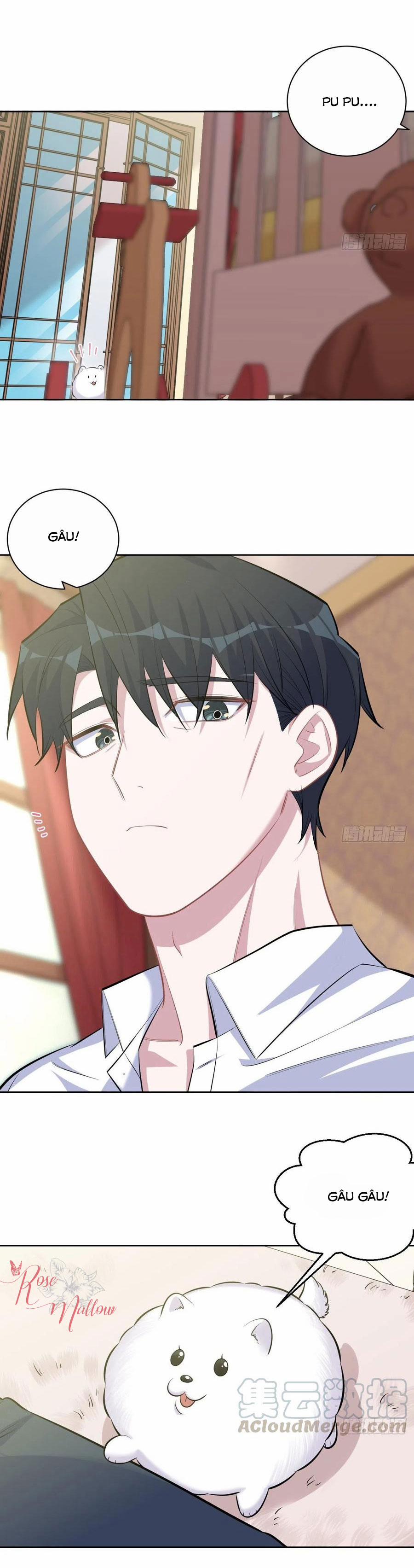 Bố Vợ Đại Nhân Là Bà Xã 108 trang 15