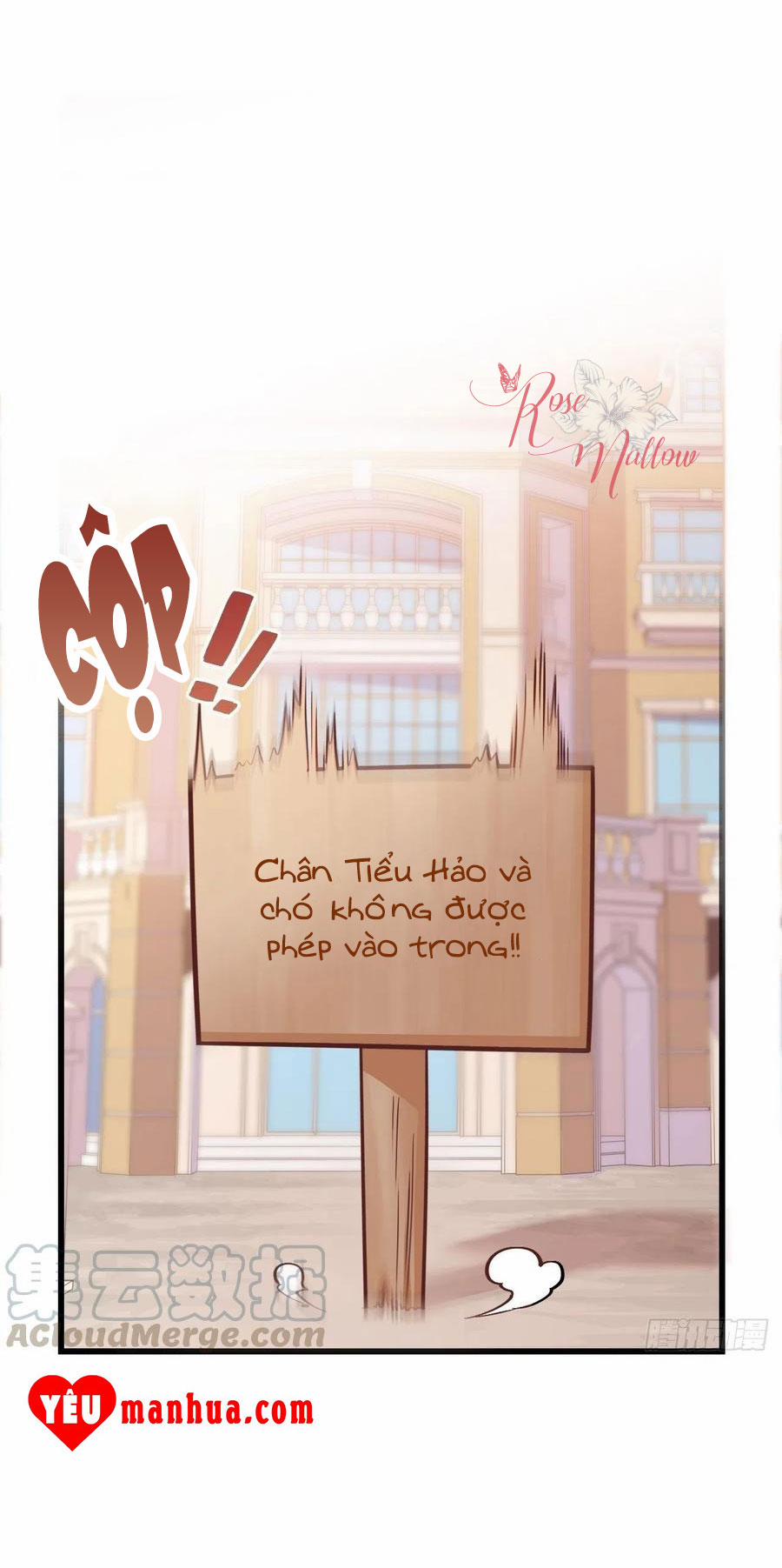 Bố Vợ Đại Nhân Là Bà Xã 116.2 trang 12