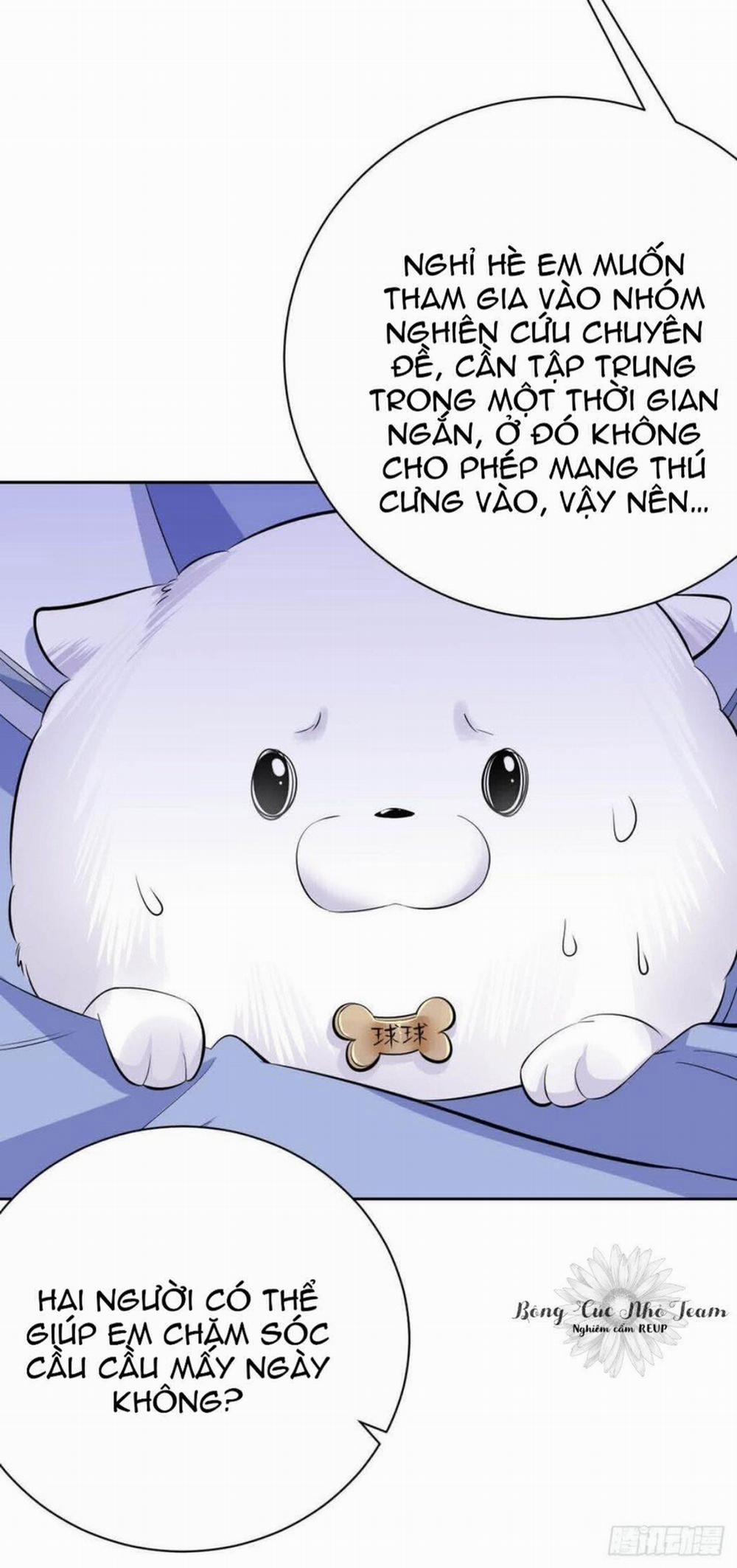 Bố Vợ Đại Nhân Là Bà Xã 26 trang 10