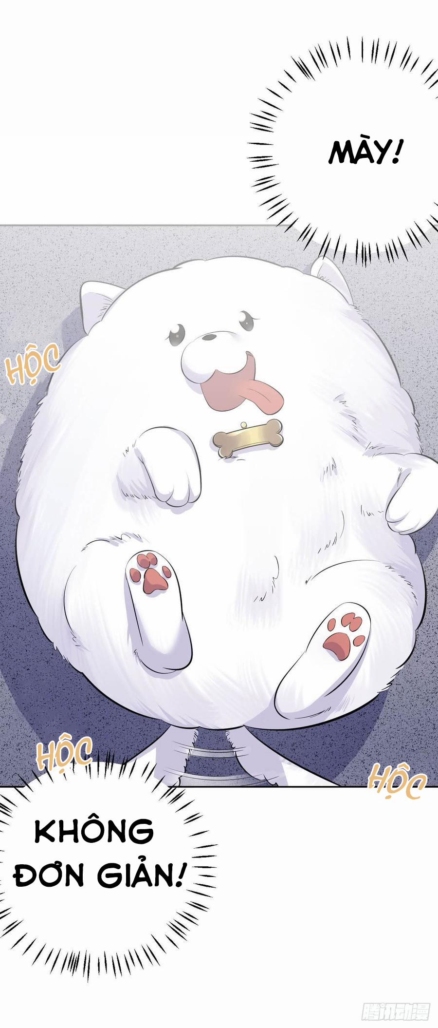 Bố Vợ Đại Nhân Là Bà Xã 27 trang 17