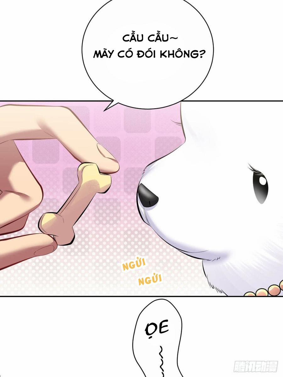 Bố Vợ Đại Nhân Là Bà Xã 28 trang 14