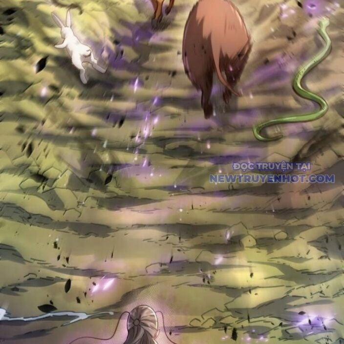 Bói Toán Mà Thôi, Cửu Vĩ Yêu Đế Sao Lại Thành Nương Tử Ta?! 72 trang 12