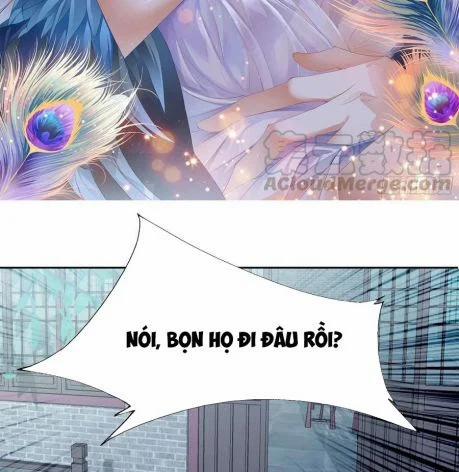 Bổn Vương Muốn Nàng 40 trang 1