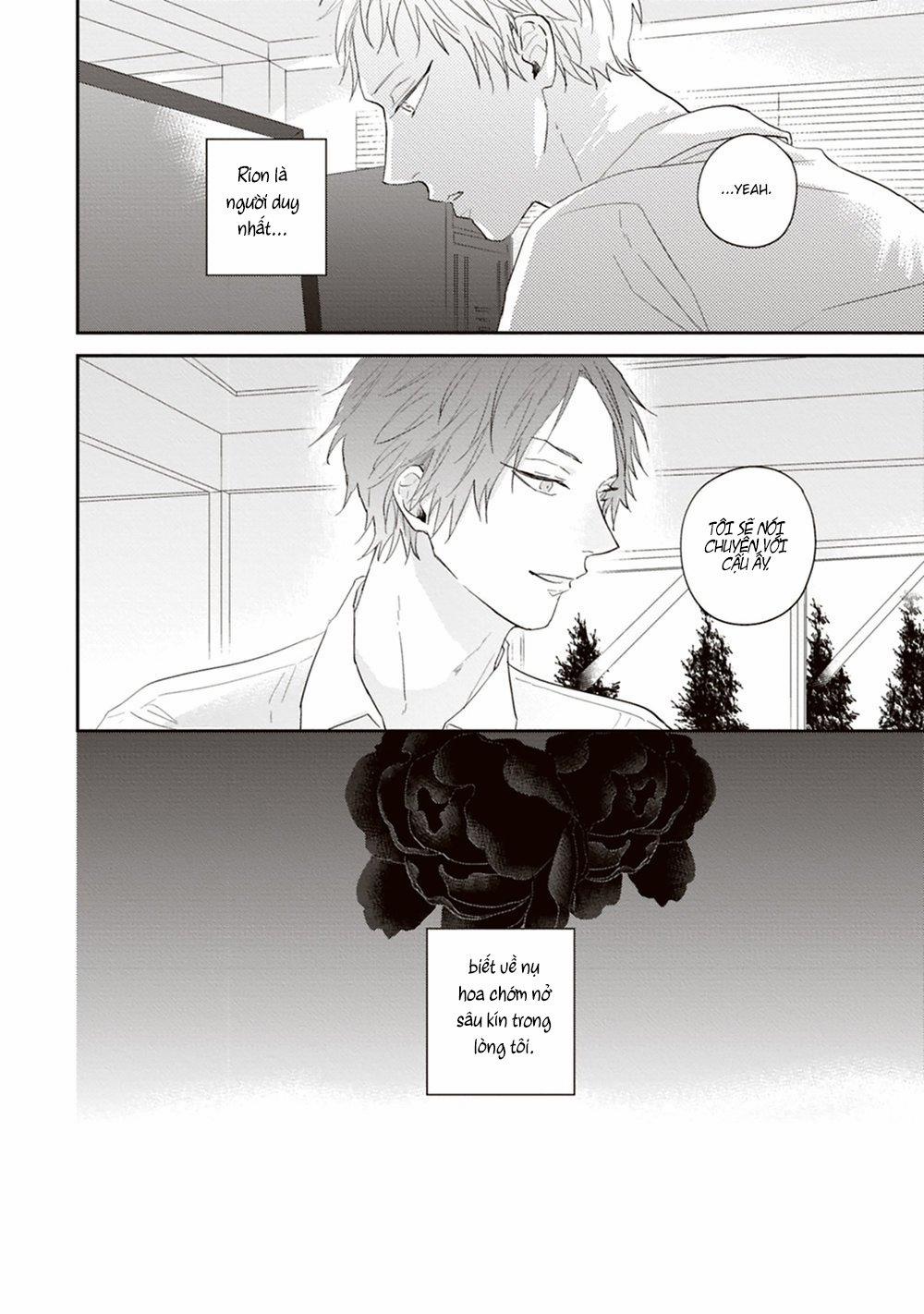 Bông Hoa Màu Xanh 2 trang 33