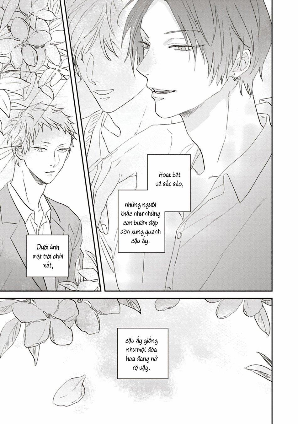 Bông Hoa Màu Xanh 4 trang 8