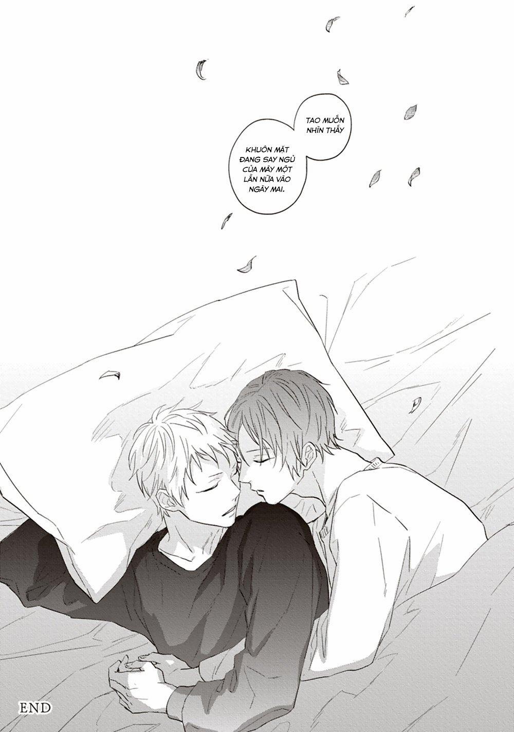 Bông Hoa Màu Xanh 5 trang 19